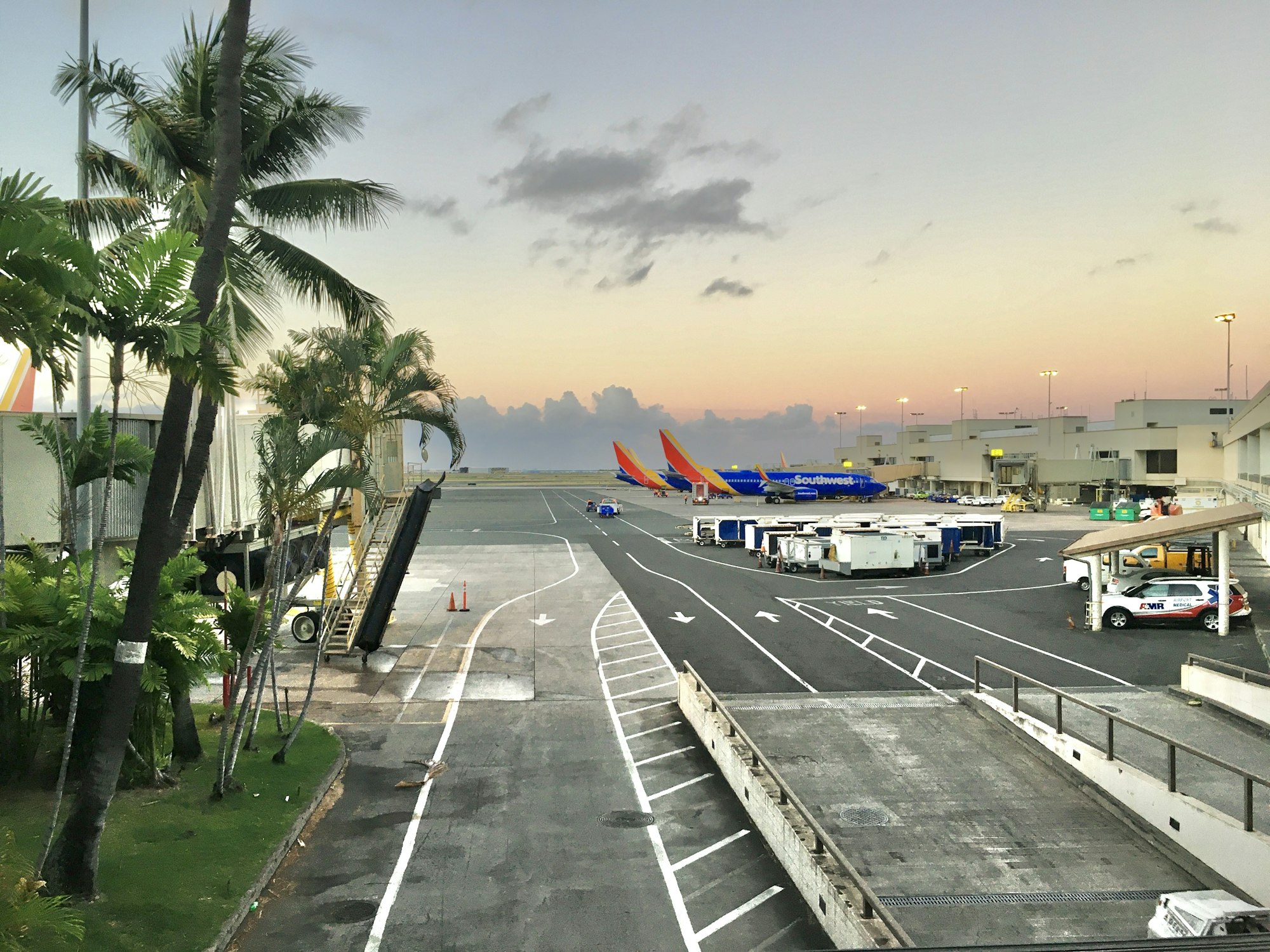 A plane coming in low over palm trees near Katunayake